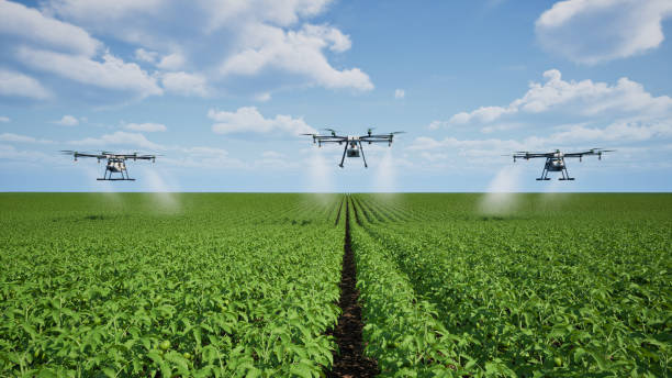 Innovations en Agriculture de Précision