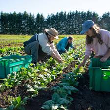 L’Agriculture Intelligente : Une Nouvelle Révolution pour les Agriculteurs Burundais
