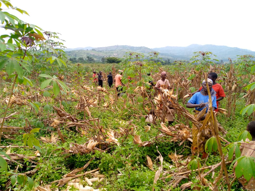 Umushinge w’Ubuzima : un modèle d’emploi inclusif pour les non-adhérents