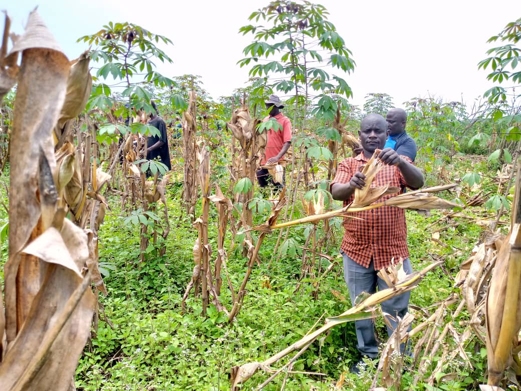 Umushinge w’Ubuzima : un modèle d’emploi inclusif pour les non-adhérents